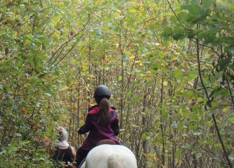 balade à cheval avec Ado Centaure à Biert