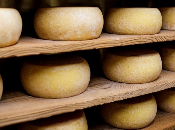 Producteurs de fromage