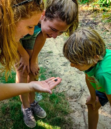 Nature & Apprentissage