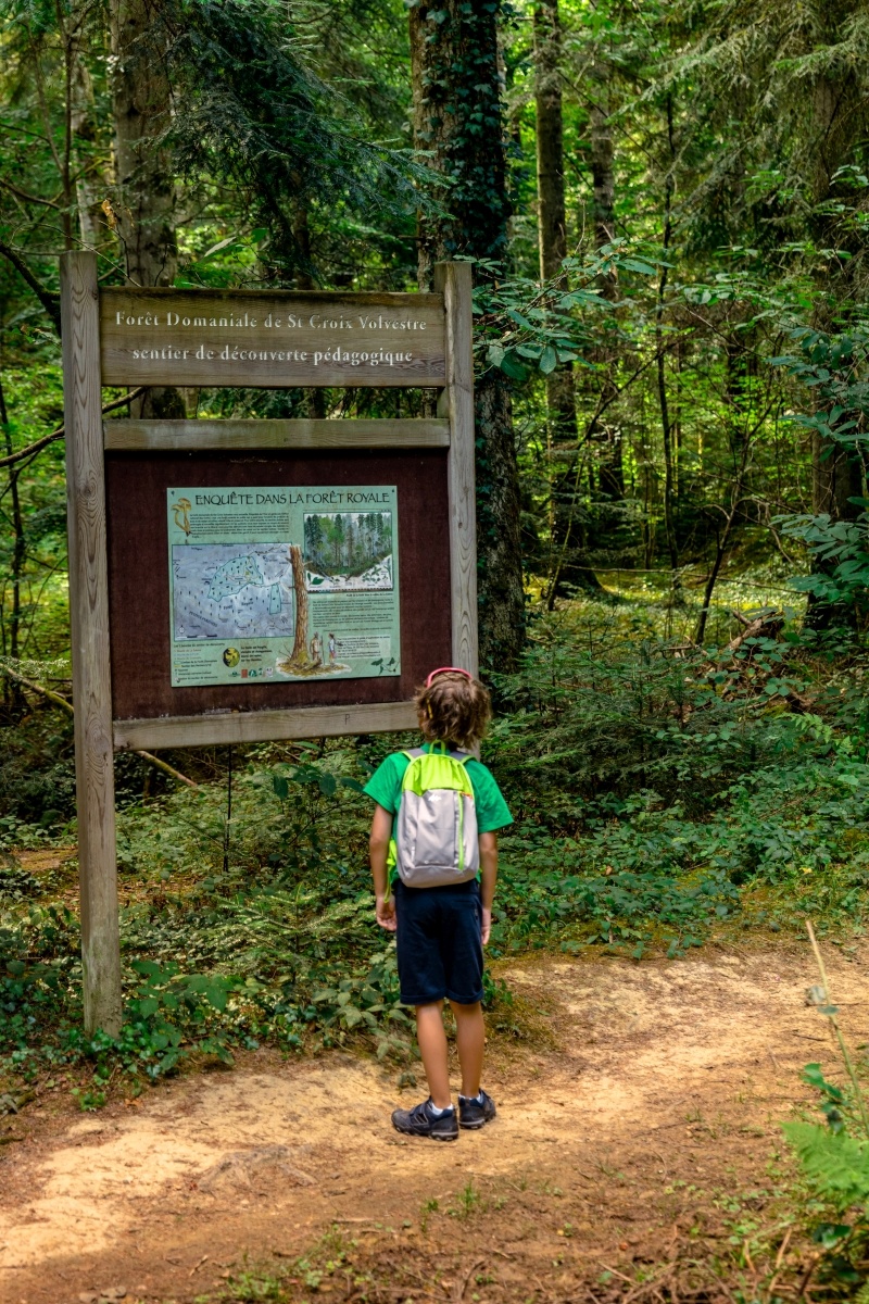 Forêt Royale de Sainte Croix Volvestre