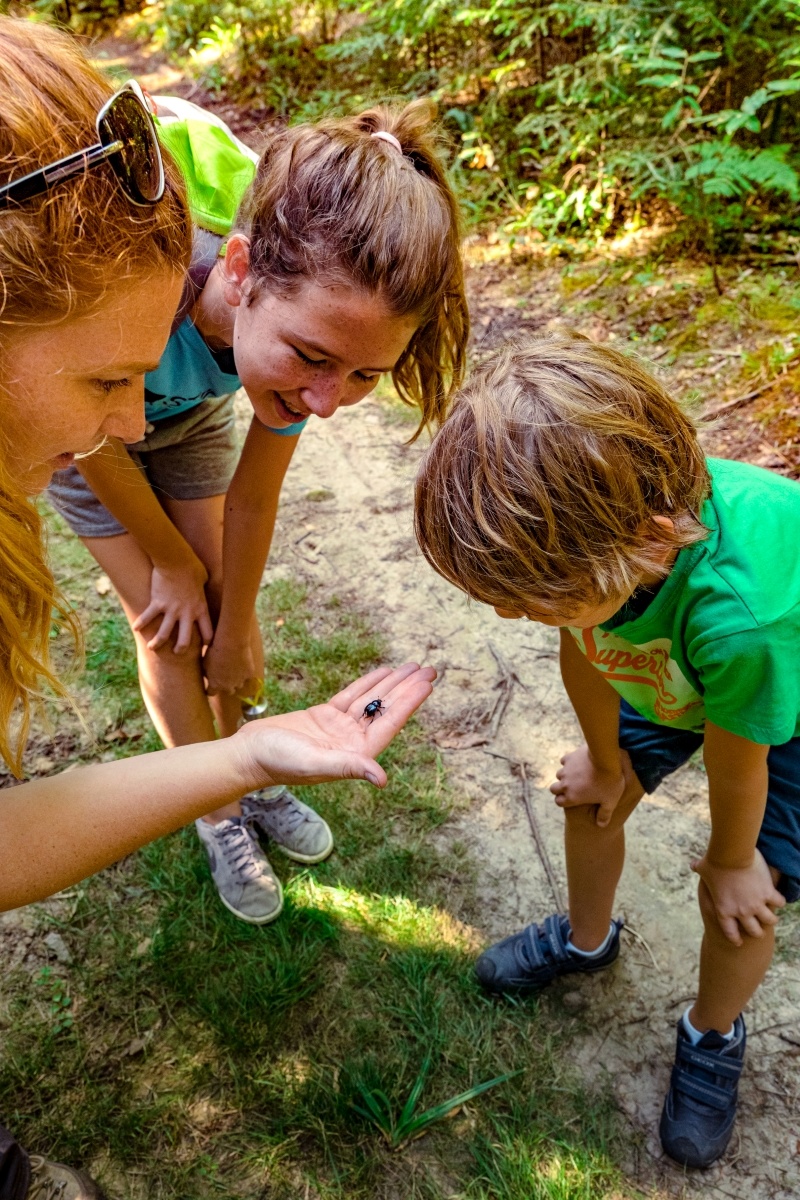 Forêt Royale de Sainte Croix Volvestre