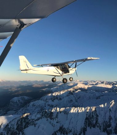 Vol au dessus d’un nid de coucou
