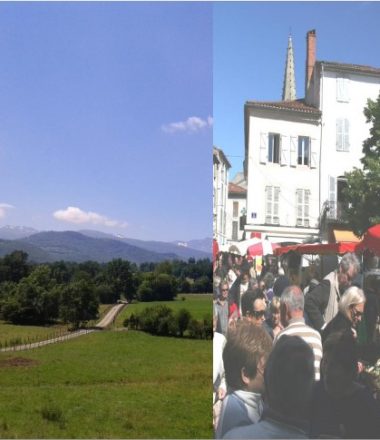 Le projet de territoire