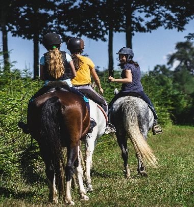 Activités équestres