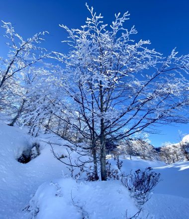 randonnée en direction du Mont Ceint avec de la neige