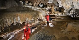 Activités sportives