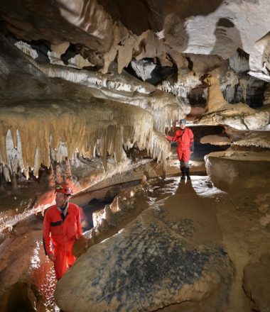 Activités sportives