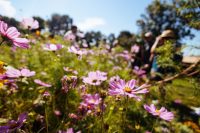 Le printemps c&rsquo;est maintenant! incontournables, activités, randonnées, visites…