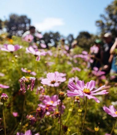 Le printemps c’est maintenant! incontournables, activités, randonnées, visites…