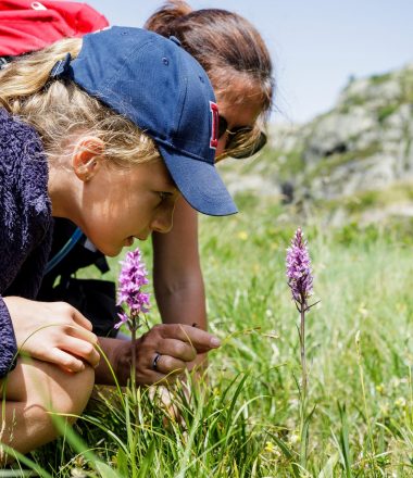 La nature à portée de main