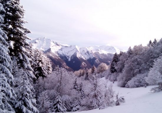 Randonnée journée raquettes