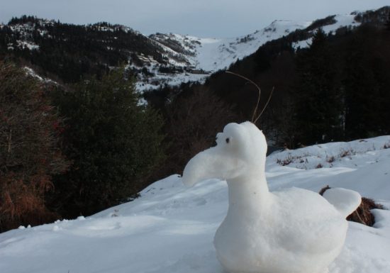 Atelier animaux fantastiques