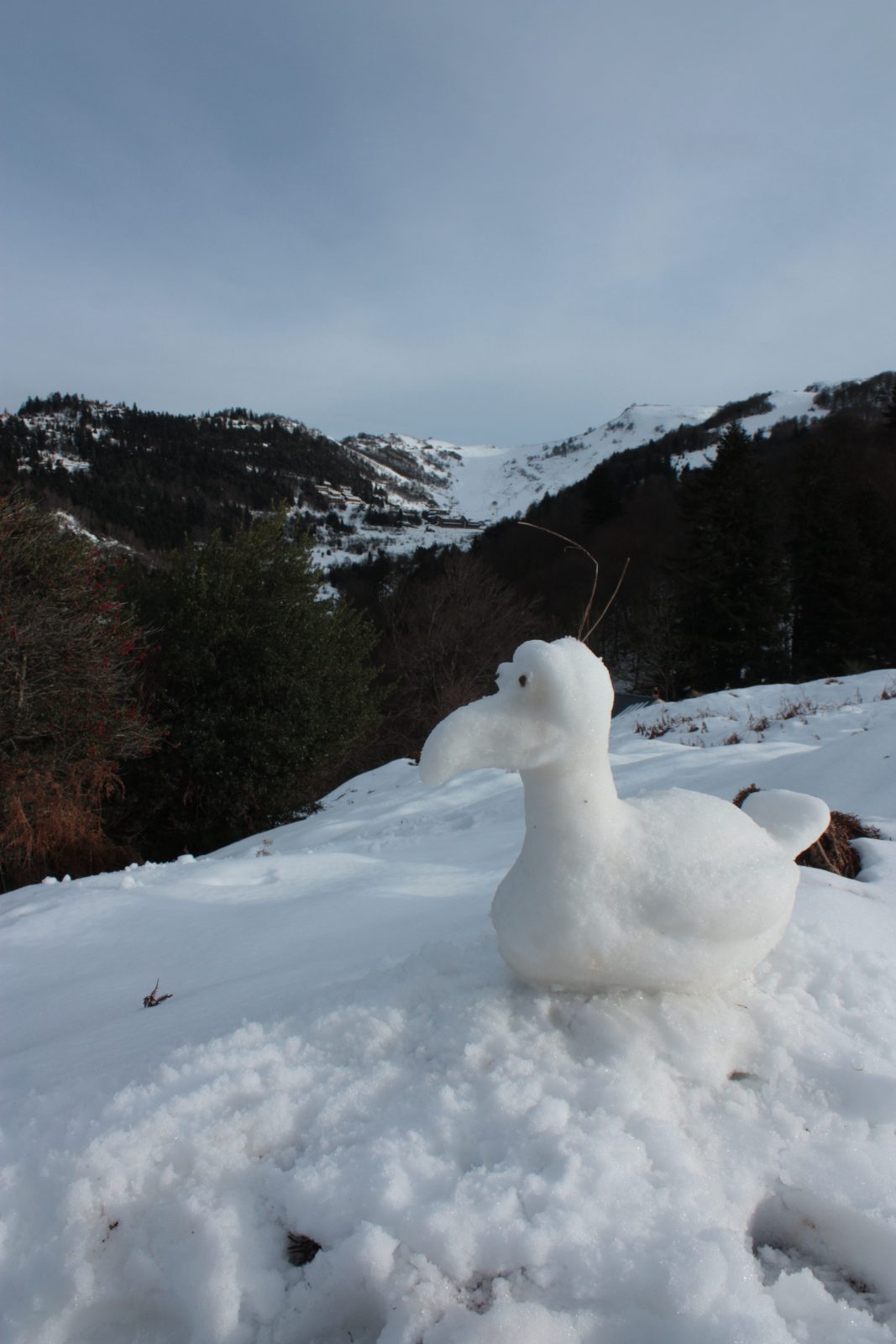 Atelier animaux fantastiques