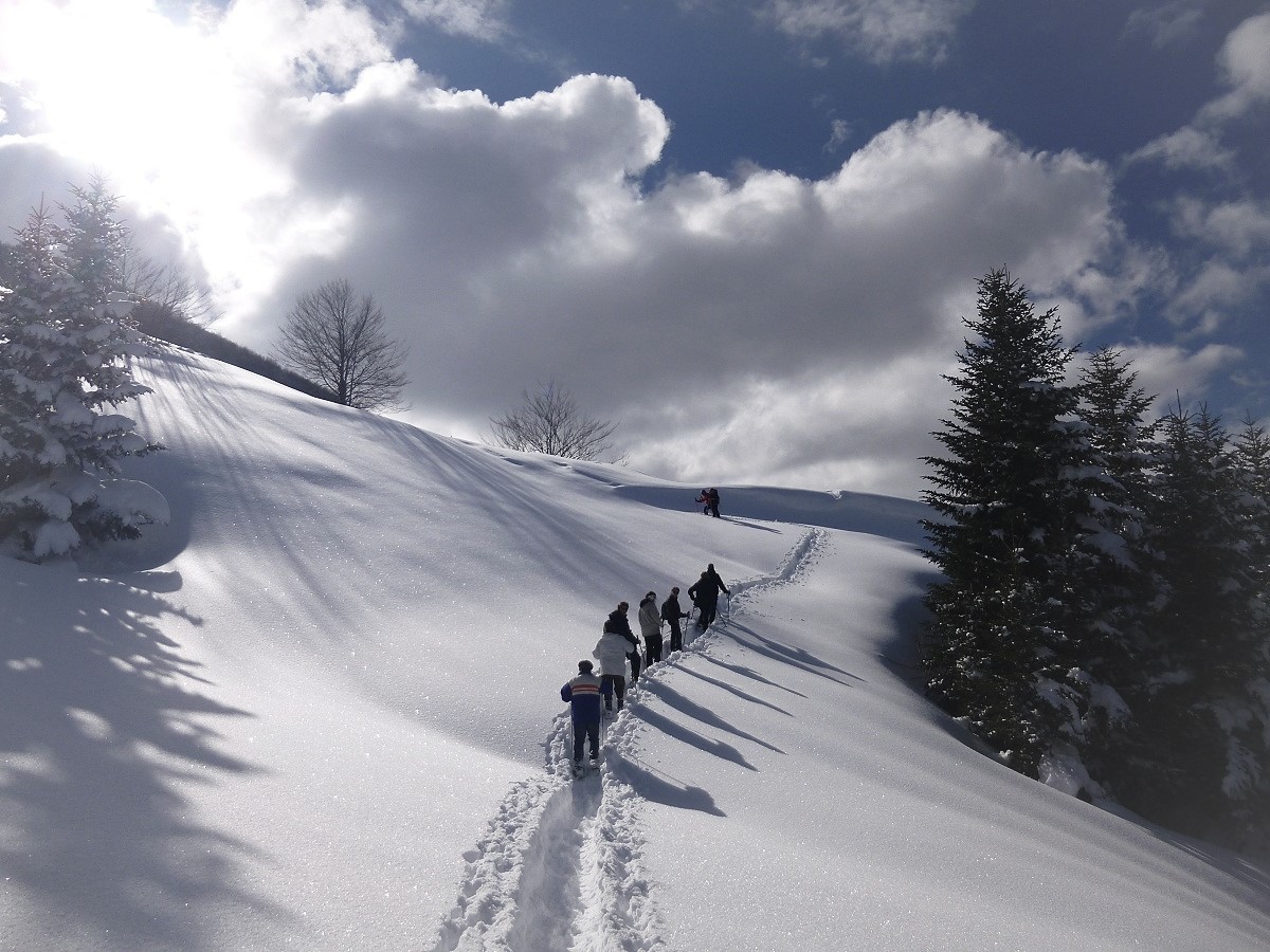 Randonnée journée raquettes « Nez au vent »