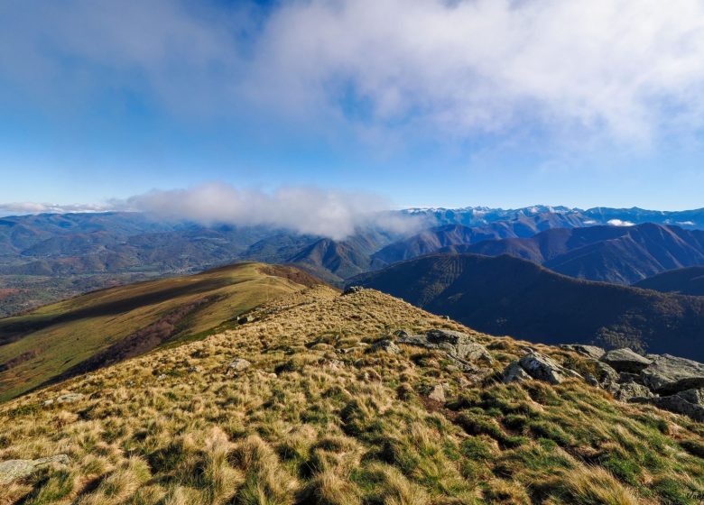 Estives du Col de Bouirex