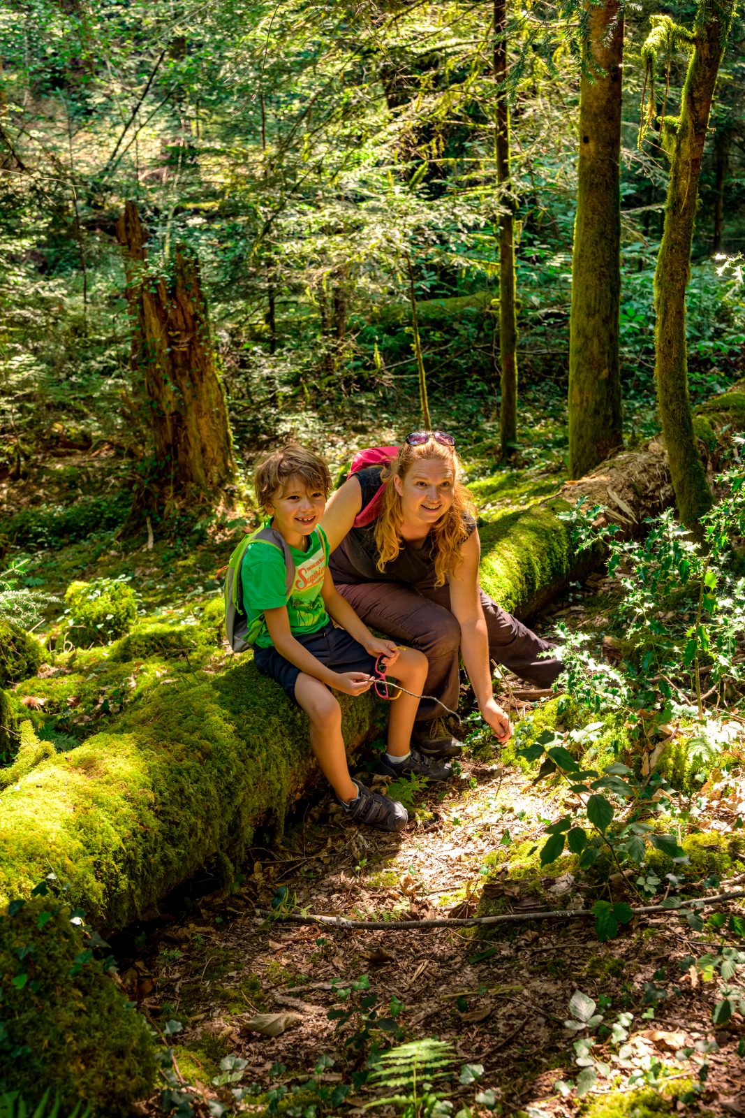 La Forêt royale – Chemin du Cramadis