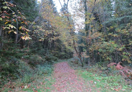 Circuit de Montégut – Chemin des Carriers