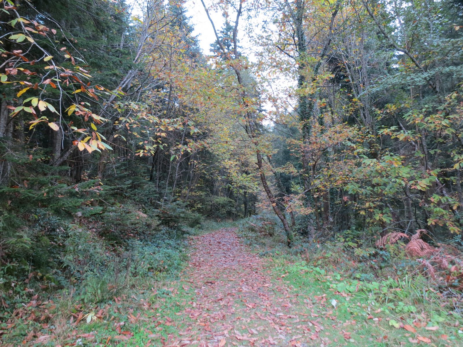 Circuit de Montégut – Chemin des Carriers