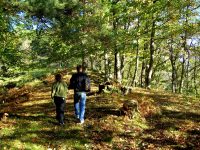 La Boucle du Cargadou