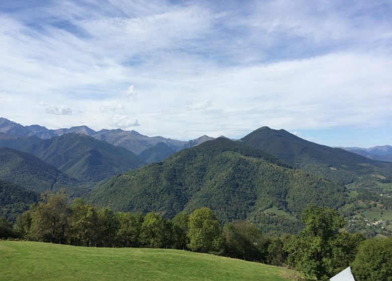 Arbre rond avec vue sur montagnes du Biros