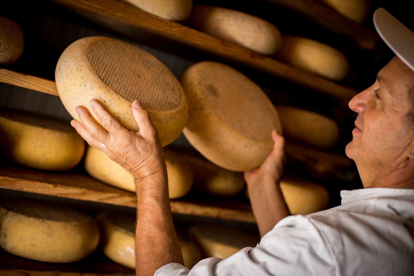 Visite de la fromagerie du Moulin gourmand