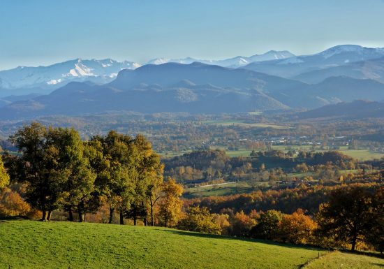 N°7 Sentier du Baus