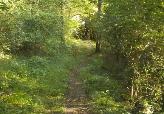 N°6 Sentier de Bonrepaux
