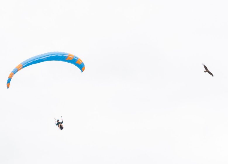 Stage Jeunes Parapente Family