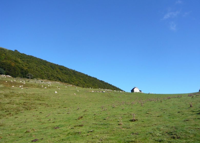 Col et Cabane d’Arraing en vue
