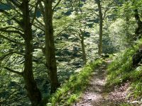 Circuit des Estives d&rsquo;Artignan