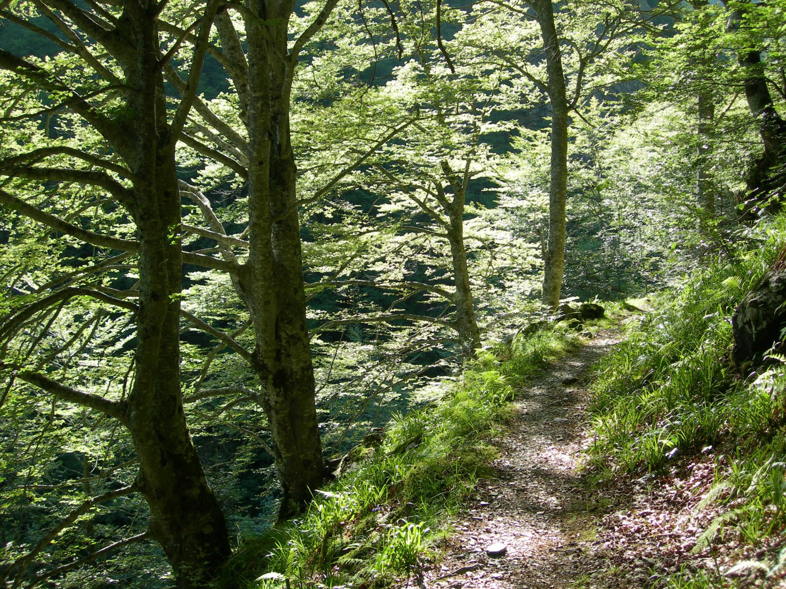 Circuit des Estives d’Artignan