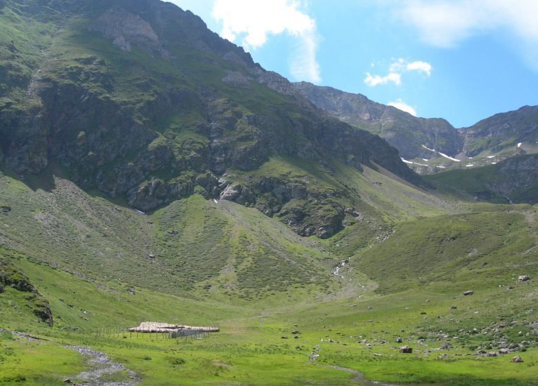 Estives d’Artignan