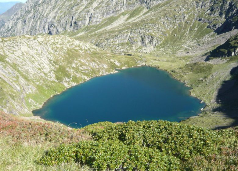 Au dessous de l’étang rond