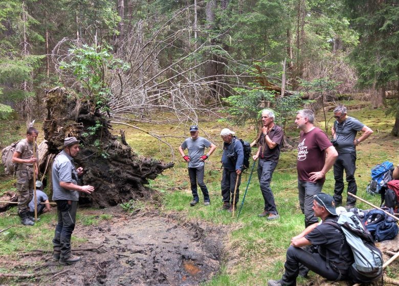 Explication des traces