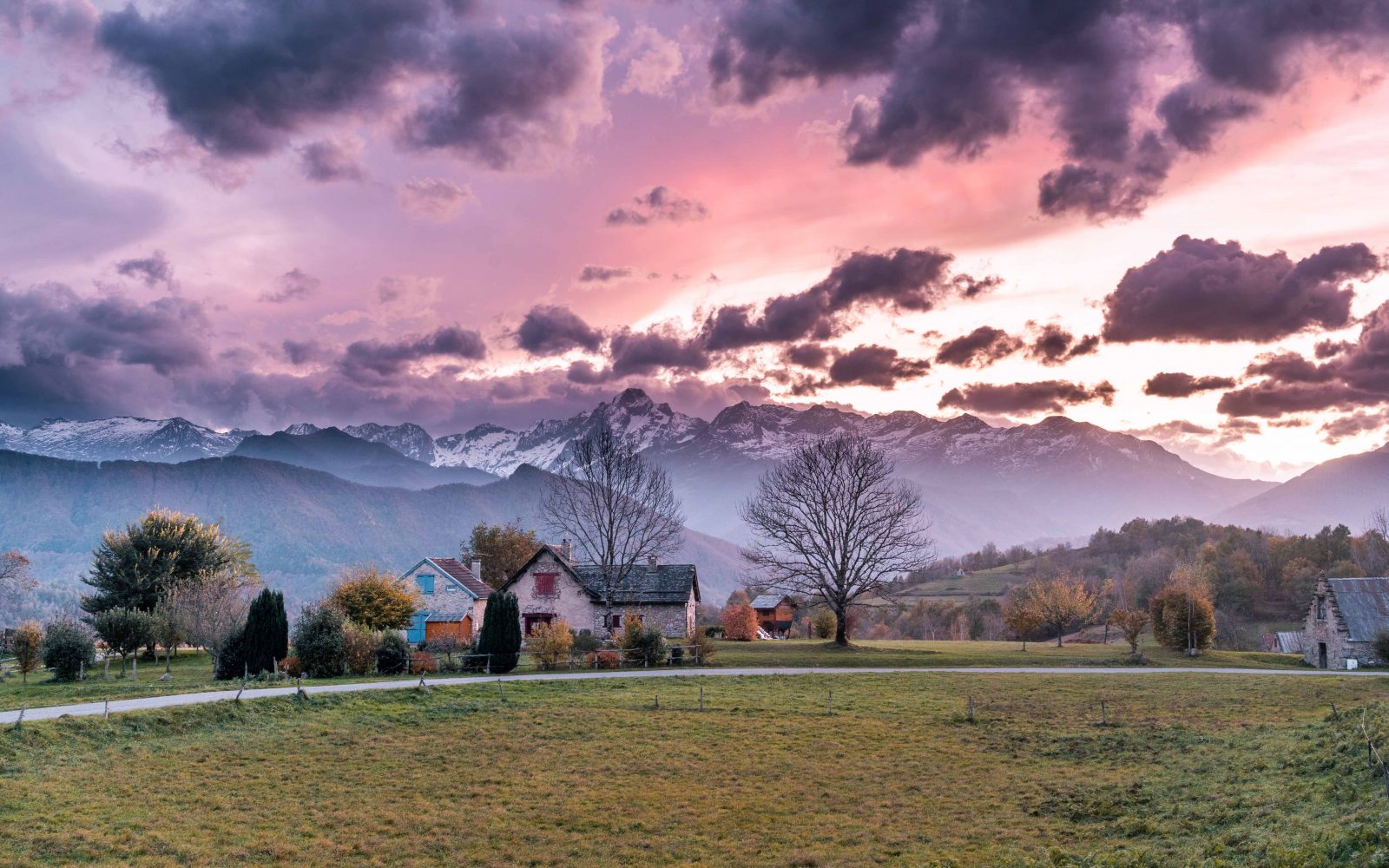 La balade des mûres