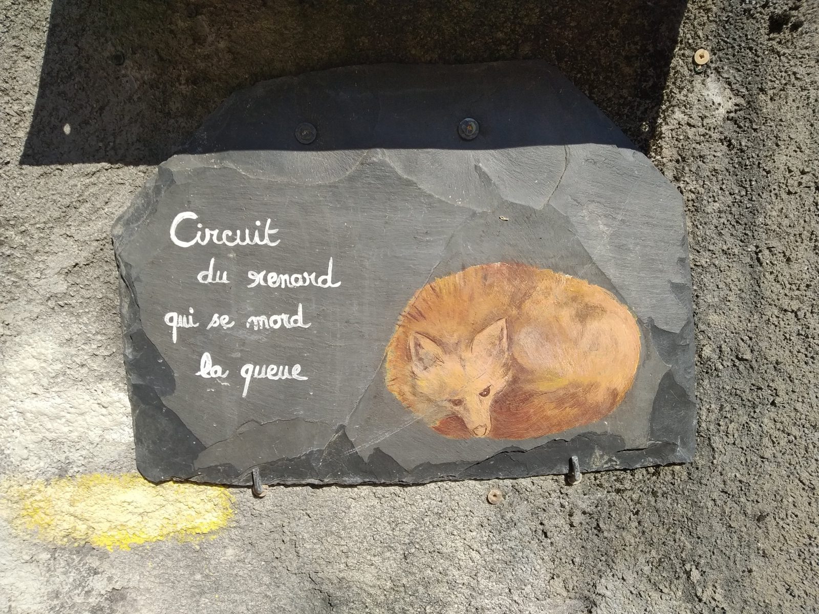 Le renard qui se mord la queue