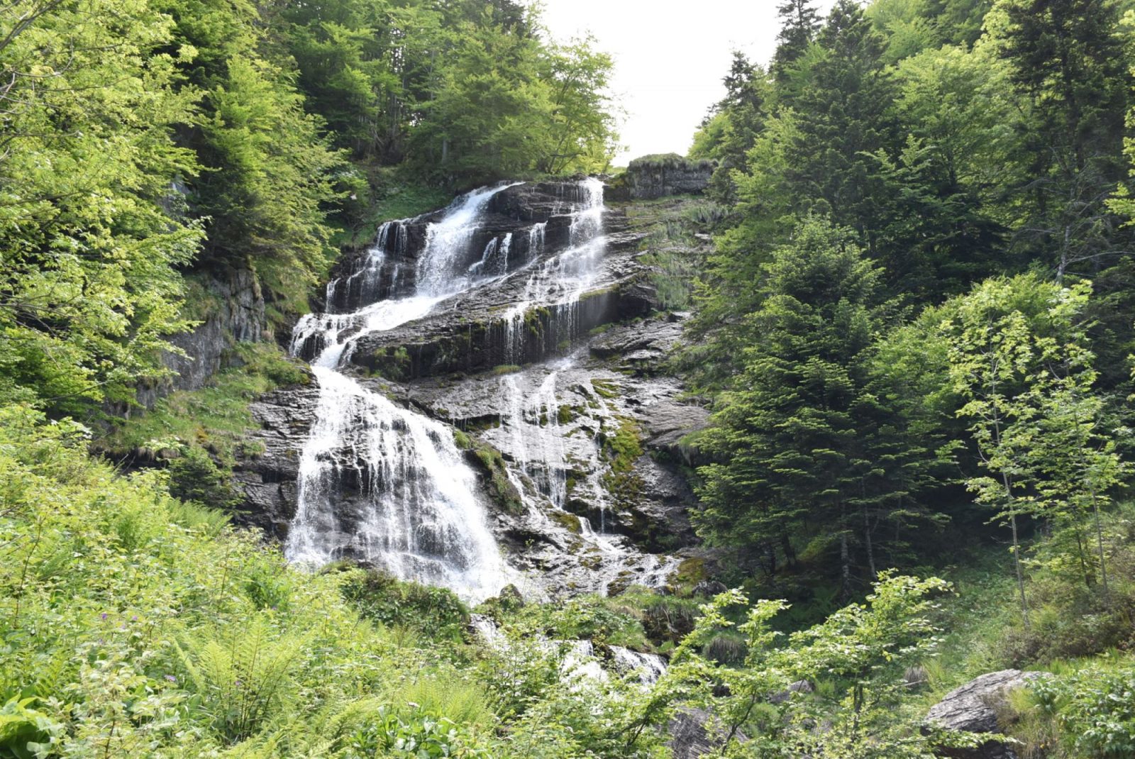 La Vallée du Fouillet