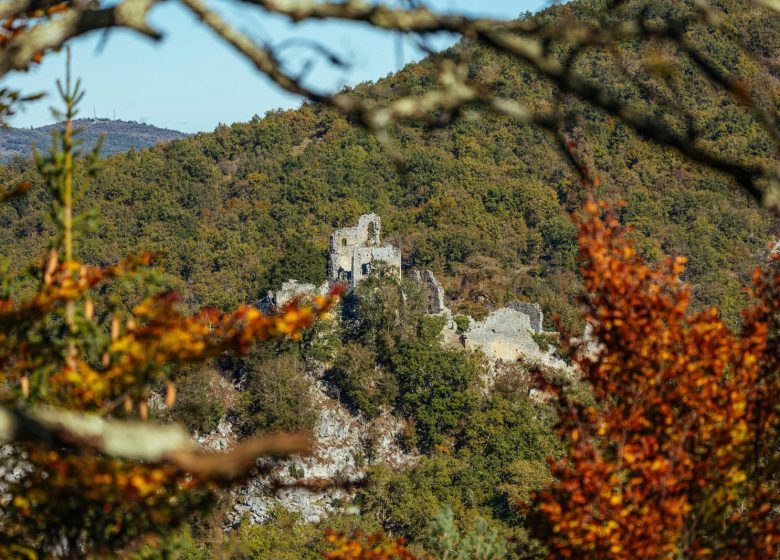 Les ruines du Château de Durban