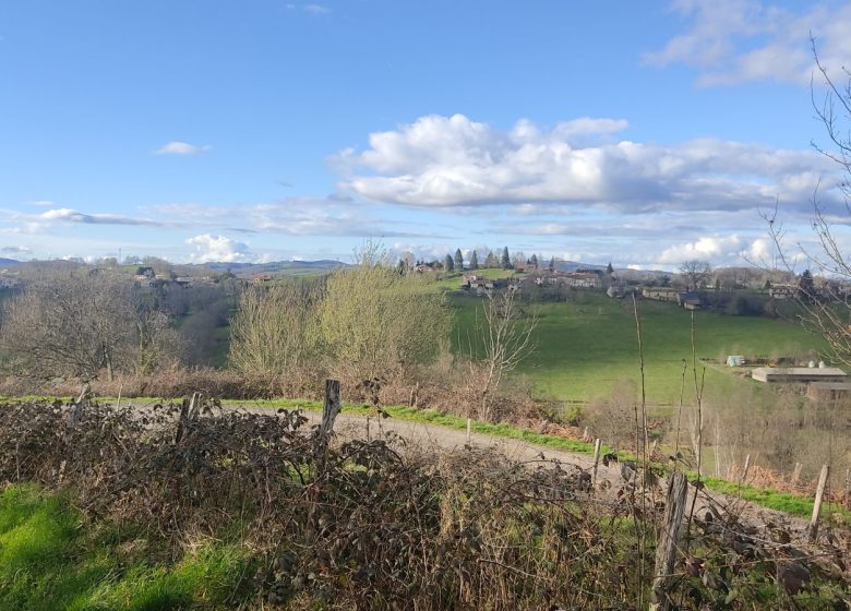Sentier Roc du Castillon