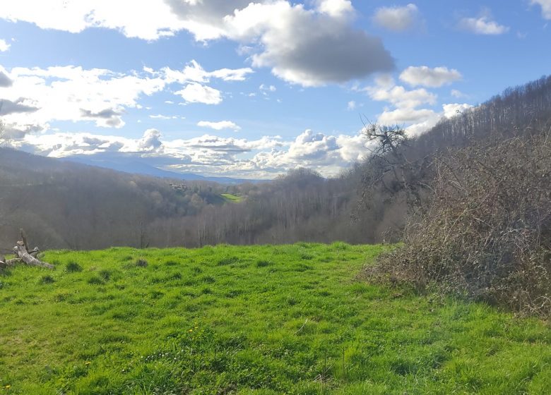 Sentier Roc du Castillon