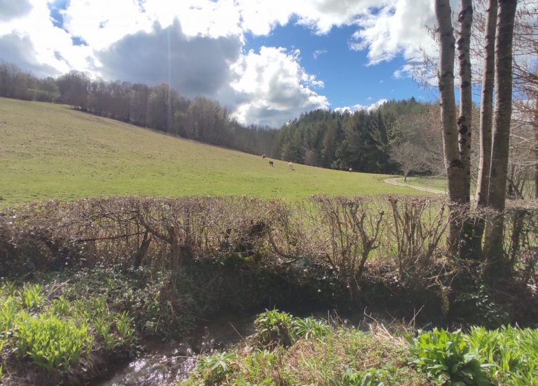 Sentier Roc du Castillon