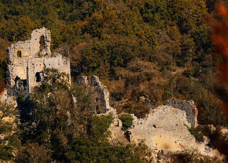 Sentier le Château de Saint-Barthélémy