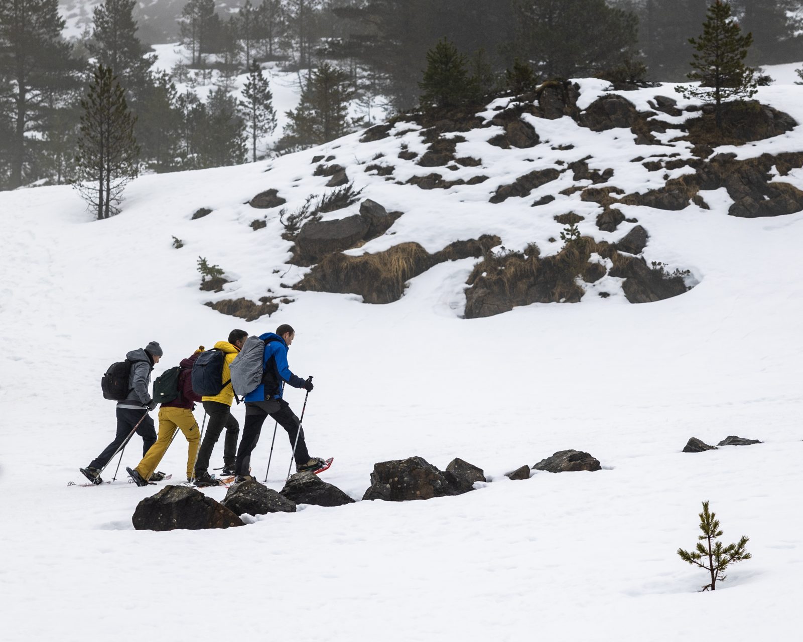 Les Ribes depuis l’étang de Lers en raquettes