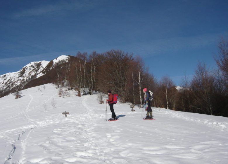 Col de Blazy en hiver