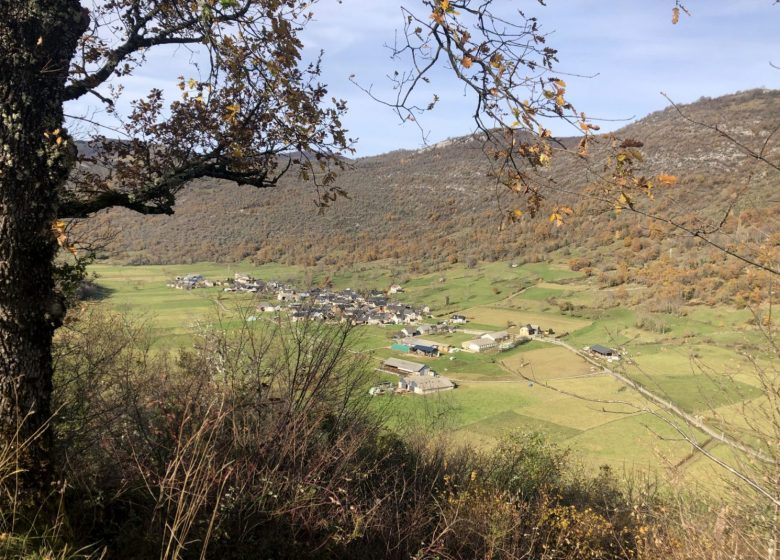 Tour Sainte Catherine