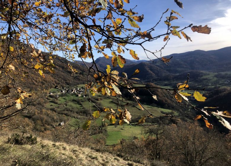 Tour Sainte Catherine
