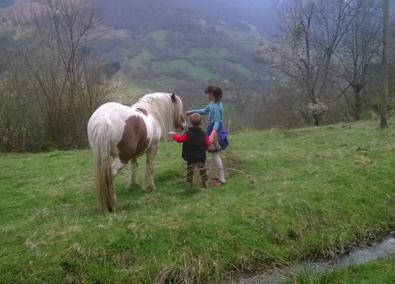 Col de Barbelizy – Col de Rous