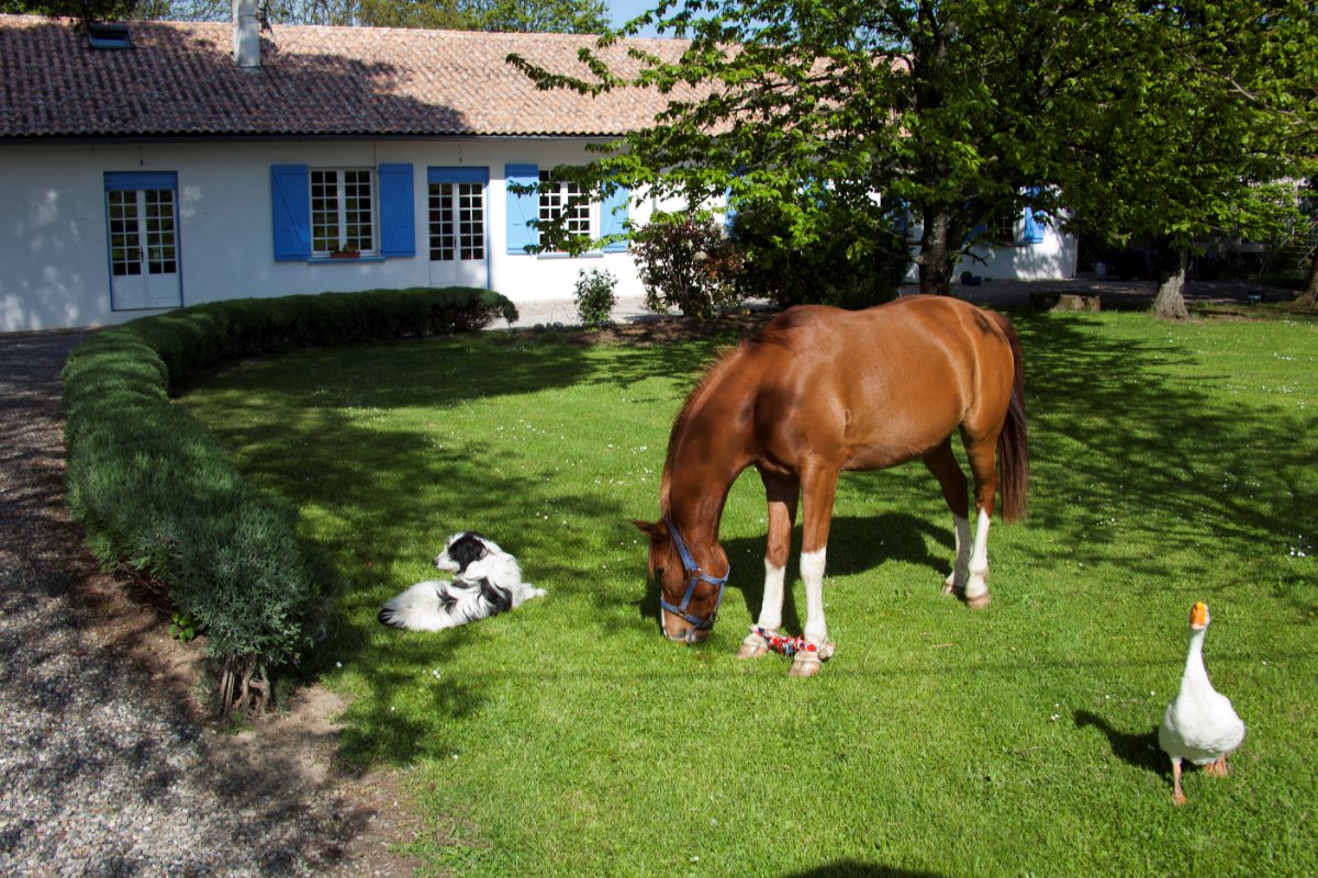 Chambres et table d’hôtes La Maison Blanche