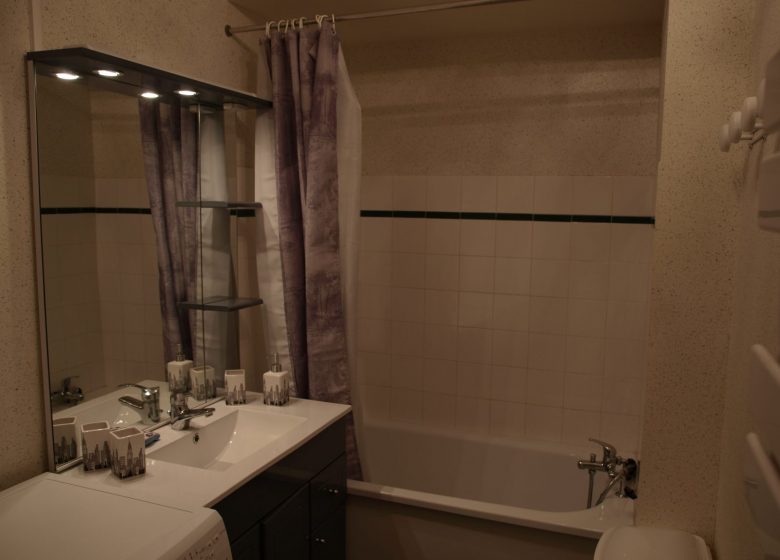 Salle de bain – appartement Mme Vaudron