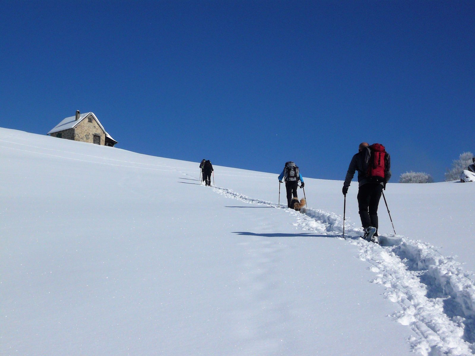 Soulane du Biros (col et pic d’Arraing en A/R) en hiver